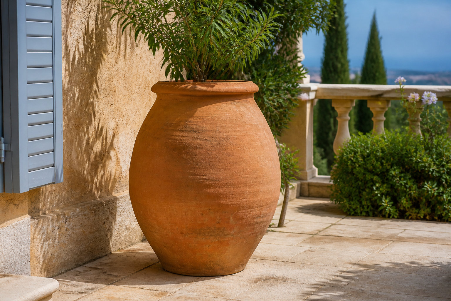 Grand pot en terre cuite destiné à un arbre fruitier de balcon